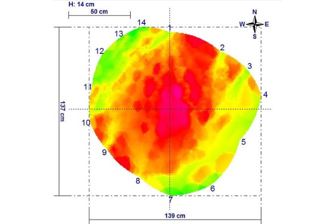Sonic tomography produces an image called a “tomogram” that allows the arborist to assess the tree for decay or cracks.
