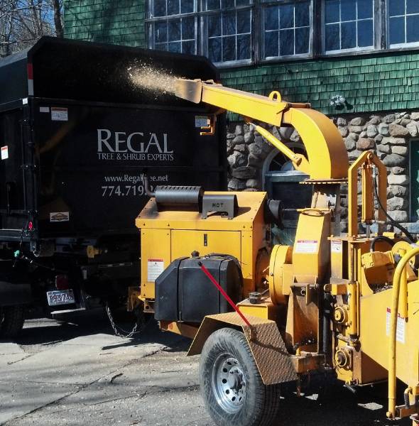 Regal tree and shrub experts wood chipper.