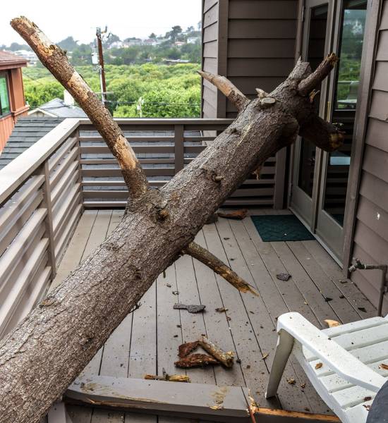 Tree that fell on a balcony ready for emergency services by Regal Tree.