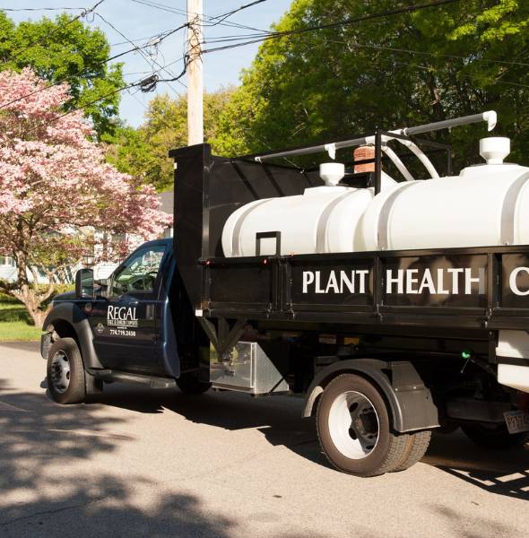 Regal Tree and Shrub Experts plant health care truck parked on the side of the road.
