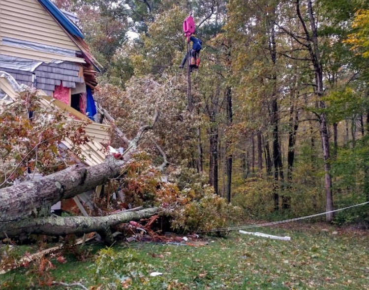 A fallen tree tied to a crane for removal on a residence in Mansfield, MA.