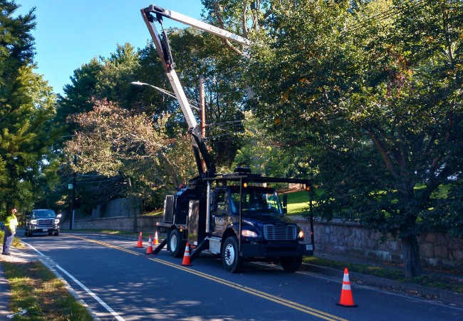 Regal Tree professional crane and bucket truck equipment removing ash tree in a Norfolk County, Massachusetts, residential area.
