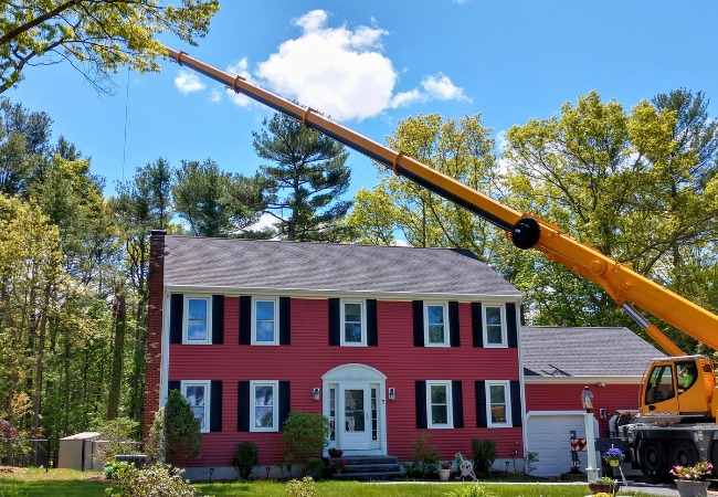 The Regal Tree crane removing a dead beech tree in Norfolk, MA.