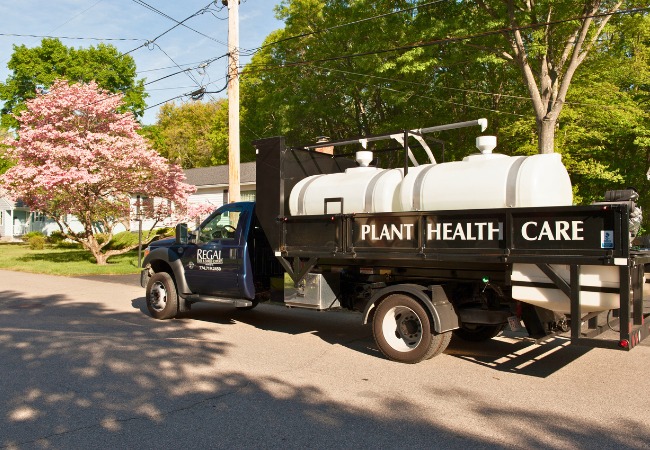 The Regal Tree plant health care truck loaded with chemicals to fight off disease at a job site in Mansfield, MA.