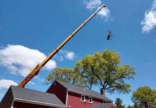 The Regal Tree crane lifting a dead portion of a tree over a house during tree removal in Medfield, MA.