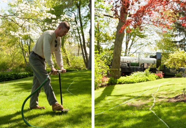 A member of the Regal Tree team injecting fertilizer into the soil on a property in Walpole, MA.
