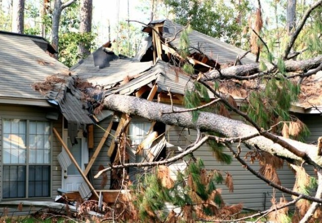 Storm-fallen trees damaging the roof of the house and some fallen debris.