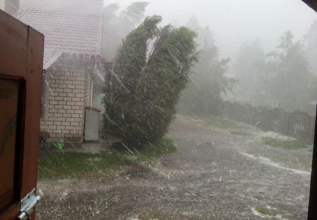 Heavy rain and high winds bend trees near a residential structure during a severe summer storm in the South Shore to Providence County region.