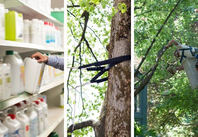 Three preservation tools side by side: shelf of plant health care products, steel cable bracing in a mature tree canopy, and an arborist pruning from a bucket lift.