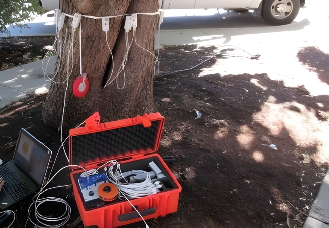 Sonic tomography device used for tree assessment