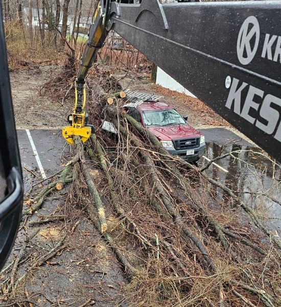 Regal Tree Service crane removing a fallen tree that landed on a car during an emergency tree service call in Massachusetts