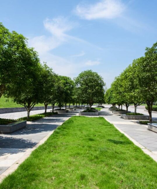 Commercial Tree Inventory Service Regal Tree & Shrub Experts