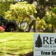 A member of the Regal Tree team injecting fertilizer in the background with a Regal Tree sign in the foreground during work in Walpole, MA.