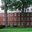 Large mature trees providing canopy coverage over historic brick academic buildings at a New England educational institution, showcasing the aesthetic value and liability challenges of campus tree management.